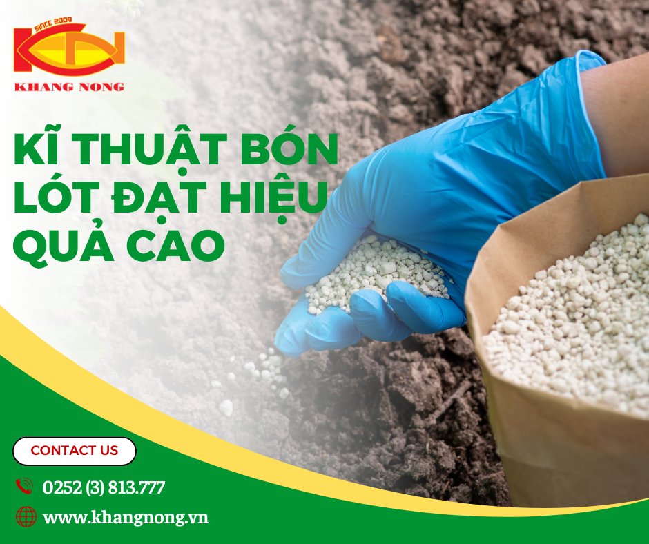 ​​​​​​​ KỸ THUẬT BÓN LÓT ĐẠT HIỆU QUẢ CAO 